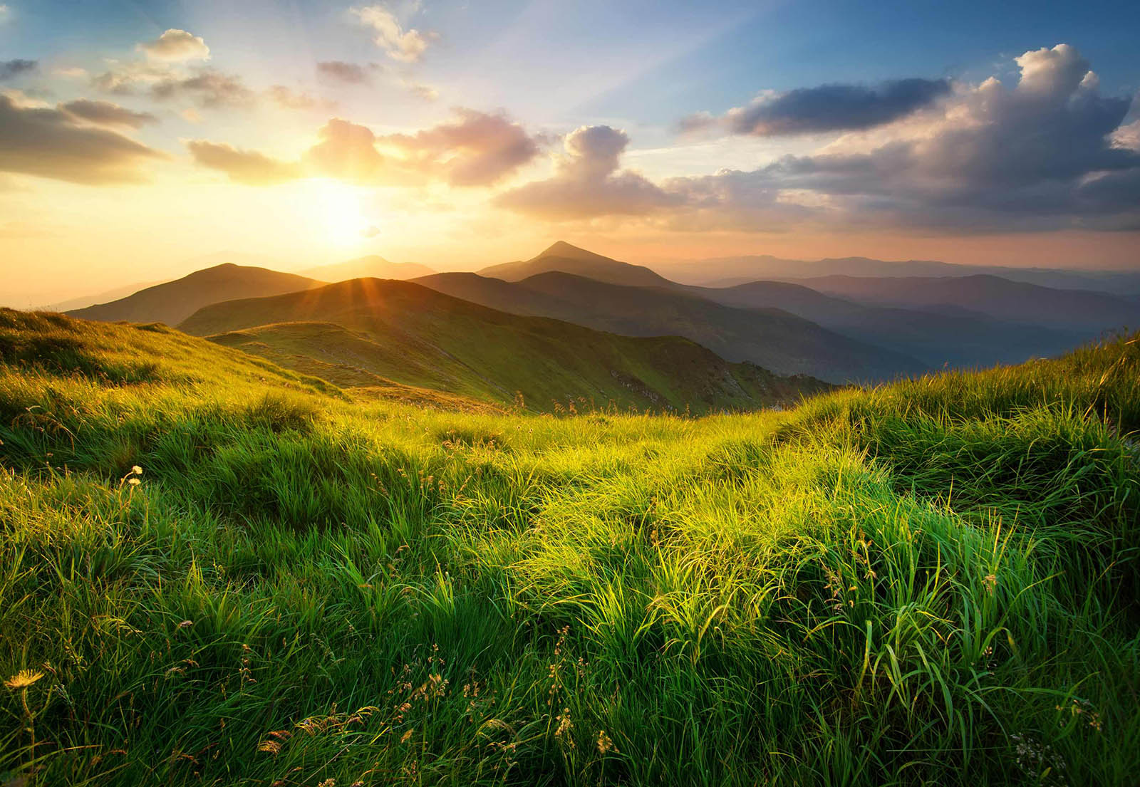 Nachhaltigkeit_Berge_Sonne_grün_Tyczka